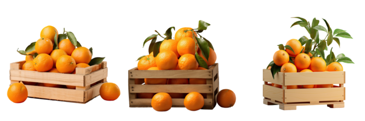 Mandarin tangerine packaged in wooden crate on a transparent background