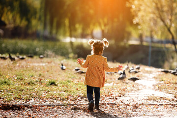 Happy children's day. Back view of little child girl with funny hairstyle with two ponytails in yellow floral dress having fun with pigeons by the pond at sunny autumn park. Childhood dream concept.