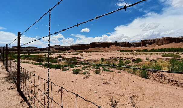 montain view beyond the fench