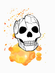 Halloween Skull as design element. Hand drawn digital illustration. Isolated on white background.