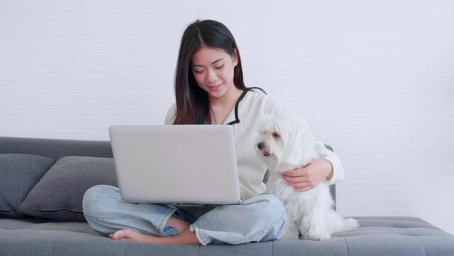 Beautiful young asian woman smile sitting working on laptop computer to internet online with cozy with companion dog in the living room at home, woman leisure with pet, lifestyles concept.
