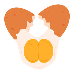 Vector Illustration of egg with double yolk inside. Broken brown chicken egg isolated on white backgroun