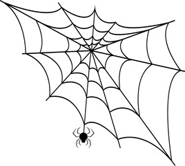 The web is black with a transparent background, the spider on the web