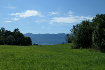 Alpenblick oberhalb des Staffelsees