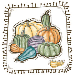 Pumpkin Illustration 