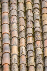 chinchón plaza: heart of castilian heritage