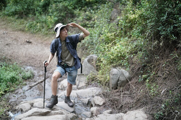 Hikers walking along a trail on a mountain with hiking sticks. Adventure, travel, tourism, hike and people concept. Group of smiling friends with backpacks outdoors.