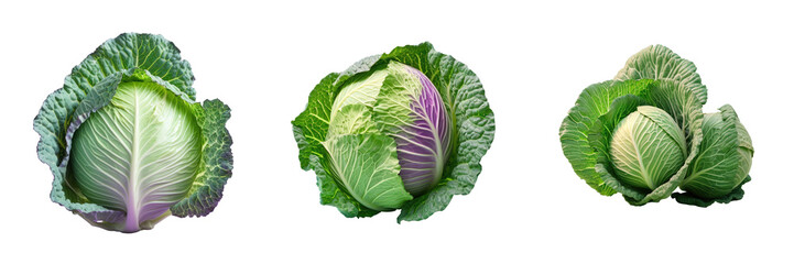 Obraz premium Cabbage alone on transparent background