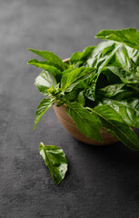 Fresh basil in a wooden bowl on a dark background close up. The concept of dietary and spicy herbs. Rustic style