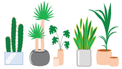 cute elements of indoor plant vector illustration