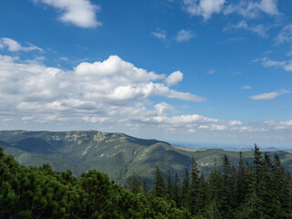 Fototapeta premium Landscape view of trees and Carpathian Mountains in background