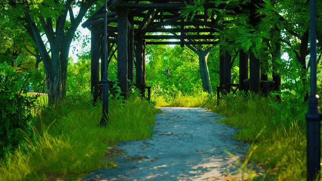 Green alley with trees in the park
