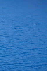 Bright Blue Ocean Waves Water Surface Background