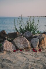 Fototapeta premium Sandy beach with rocks and plant by the sea and blue sky on a summer day, vertical shot