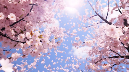 Obraz premium Delicate cherry blossoms floating in the air, their soft pink petals dancing in the breeze, under the clear blue sky of a peaceful spring day. Generative ai.