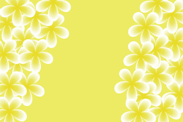 Vector flower, white, yellow, pink.