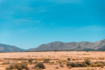 Scenic landscape featuring a dry valley and mountains under a blue sky in the Karoo, South Africa