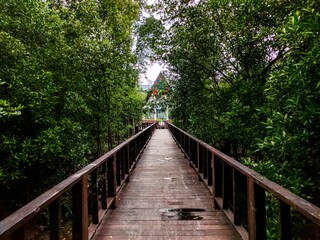 Scenic view of the mangrove point surrounded by trees in Klang Selangor