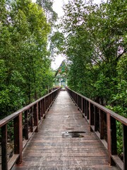 Obraz premium Scenic view of the mangrove point surrounded by trees in Klang Selangor