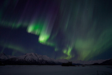 Aurora in Alaska