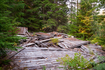 Parkhurst a former logging community near present day Whistler BC. Now abandoned and returning to nature.
