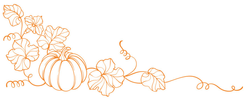 Pumkin thanksgiving element vector illustration