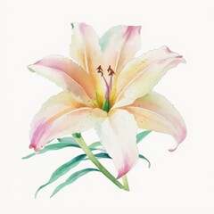 White-pink lily flower. Watercolor style. Floral art. Generative AI.