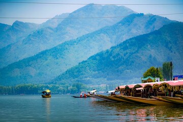 Picturesque scene of a marina filled with many sailboats and yachts: Dal Lake Kashmir