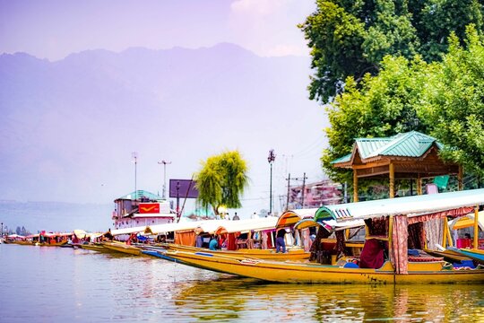 Scenic view of Shikara (Wooden Boats) in Dal Lake Kashmir surrounded by lush greenery