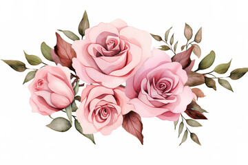 blush pink roses, bouquet, watercolor clipart, white background