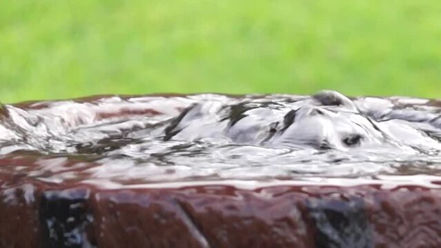 water spring bucket