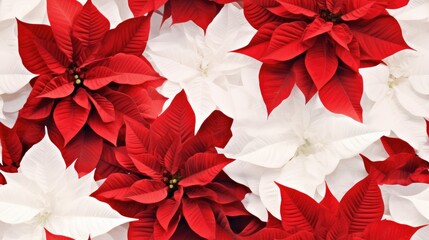 A closeup of the blossomed beautiful seamless red poinsettia flowers created with Generative AI technology.