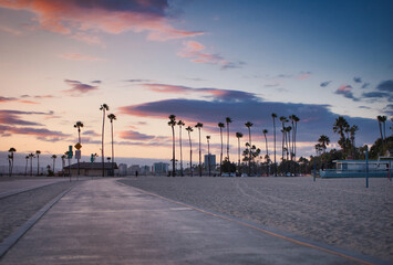 Photo of a stunning sunset over a palm-lined beach in Los Angeles, California