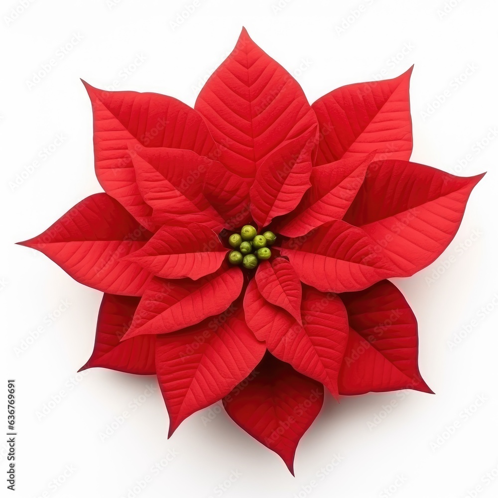 Poster beautiful poinsettia isolated on white background top view created with generative ai technology.