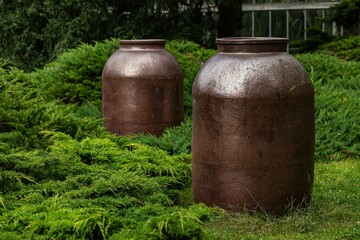 Obraz premium Large brown jug structures in the lush Palm House in Poznan, Poland