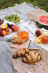 Picnic with glass of traditional Italian aperitif and food. Picnic in the park.