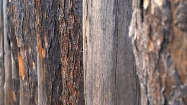 Fencing from wooden logs. Beautiful texture of old wood.