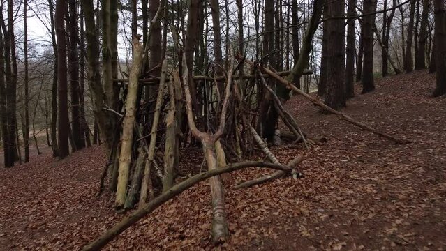 Cinematic View of a Woodland Den