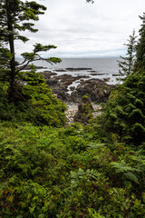 Rocky Shoreline along the Ancient Cedars Loop Trail, Vancouver Island