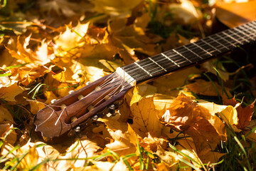 Guitar leaned on a tree in the fall surrounded by yellow leaves