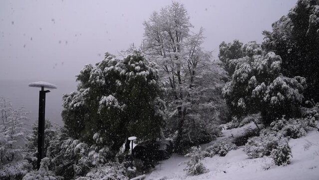 Winter landscape. View of the snow falling over the forest and mountains in a cloudy day.