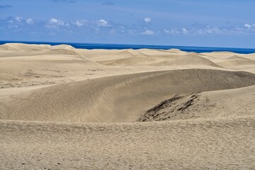 Fototapeta na wymiar Scenic view of a sandy beach against the sea on a sunny day