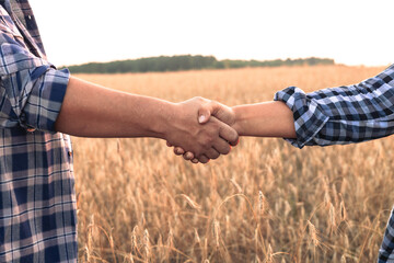 People shake hands against the background of a wheat field. The conclusion of a grain deal for the purchase of grain after harvest. Grain sales and small business.