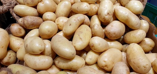 Large potato showcase. Young potatoes close up. Raw potatoes purchase. Lots of unpeeled potatoes in the store. Autumn harvest of potatoes.