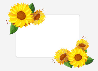 Sunflowers with frame for text. White invitation card template with place for text. Like watercolor. Border with summer bright wildflowers. Bouquet of heads of yellow flowers. Vector illustration.
