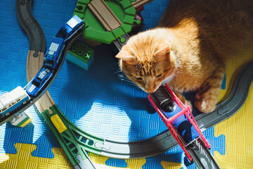 Funny cat laying on the toy railway road. Lazy ginger cat sitting on kids toys. Pats and children...