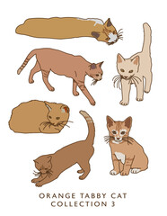 Orange Tabby Cat Illustrations in Color! Collection 3