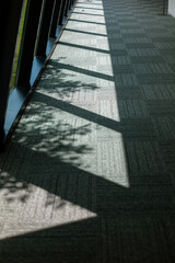 tree shadow on indoors