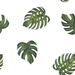 Fototapeta na wymiar Tropical leaves pattern. Green leaf monstera seamless. Artistic photo collage for floral print. Isolated on white background. For textile, paper, design, fabric