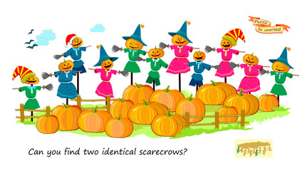 Logic puzzle for children and adults. Can you find two identical scarecrows? Page for kids brain teaser book. Task for attentiveness.  IQ test. Play online. Vector cartoon illustration.